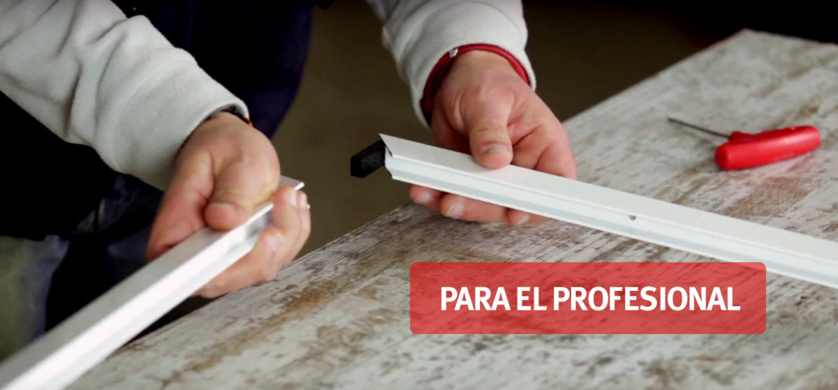 epid-professional